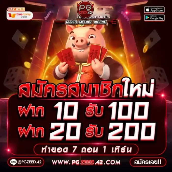 pgzeed42 โปรโมชั่น